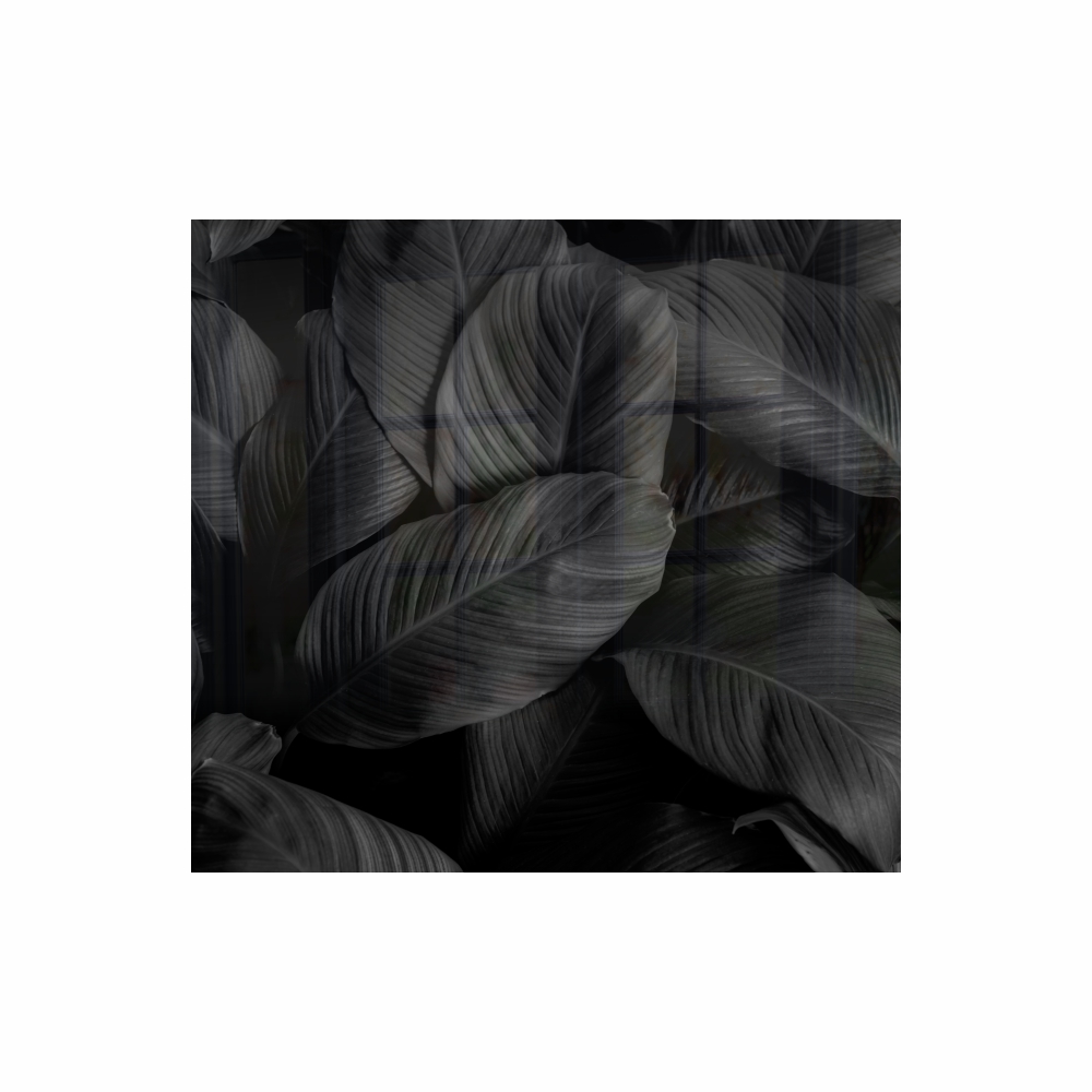 Decorative Glass Wall Tile 598MM X 650MM Feathers