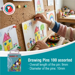 Drawing Pins (Boxed Pack 100, Assorted)